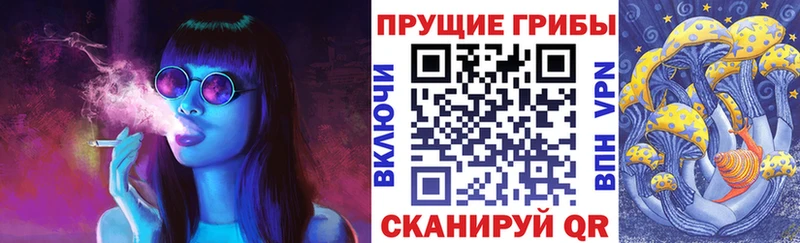 наркота  Перевоз  Псилоцибиновые грибы прущие грибы 