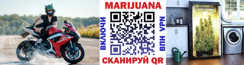 Канабис семена  где продают   hydra   Перевоз 